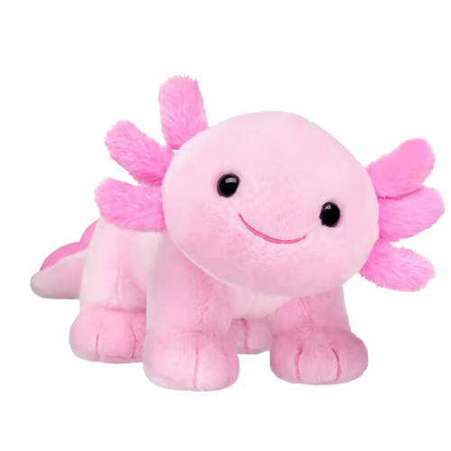 Cute Axolotl