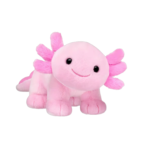 Cute Axolotl