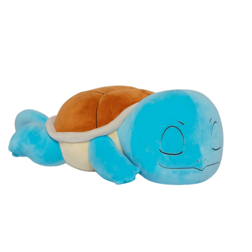 Sleeping Squirtle