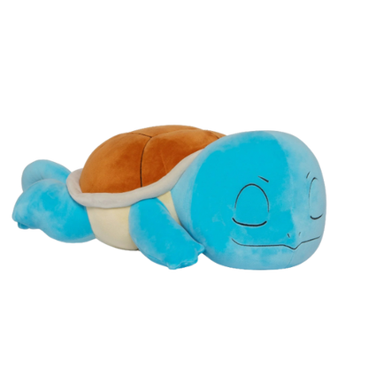 Sleeping Squirtle